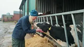 Agri environmental schemes and SFI