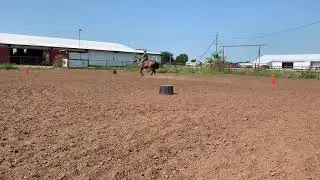 Streakology trotting