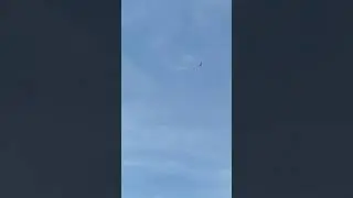 rapace cagnes sur mer