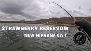 New 6WT Streamer Rod!