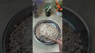 Tempe Kacang Tanah