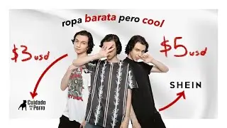 MEGA haul de ROPA EXTREMADAMENTE BARATA AeStHeTiC *SHEIN, C&A, Cuidado con el Perro*