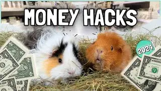 Testing 7 Guinea Pig Money-Saving Hacks! Save BIG! 💰