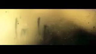 Moonbeam feat. Avis Vox - Disappearance (Official video)