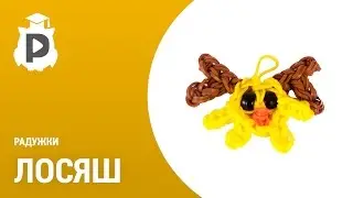 Радужки - Лосяш