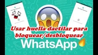 USAR LA HUELLA DACTILAR PARA BLOQUEAR/ DESBLOQUEAR WHATSAPP