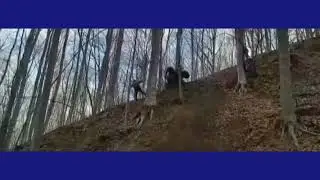 Такого вы еще не видели что они творят уму не постежимо