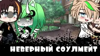 🍂💔|Неверный соулмейт|💔🍂 ||Meme||