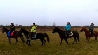Autumn Expedition