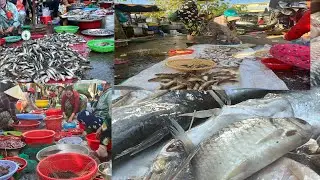 #HongNgựMarket #countryarch