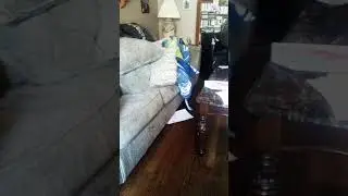 the ant bully Lucas scream