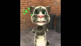 Cat wank