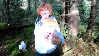 MUSHROOM PICKERS DO NOT HAVE TIME TO COLLECT MUSHROOMS The camera CANNOT handle it!