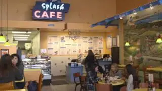 Video for Splash Cafe in San Luis Obispo and Pismo Beach, California