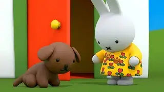 Miffy and The Muddy Dress | Miffy | Miffy's Adventures Big & Small