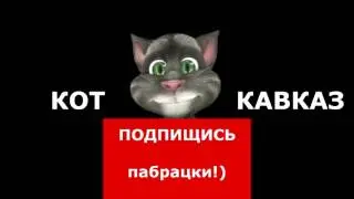 Кот Кавказ   Три в одном 23