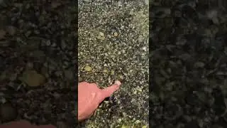 нашёл 😳