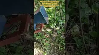 Ріжучий блок подрібнювача гілок на бруски TR-60 підключений до мотоблоку