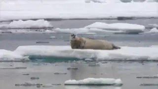 Никогда не раслабляйся!!!
