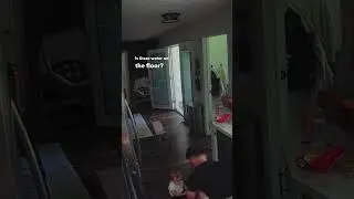 LIFE OF A PARENT