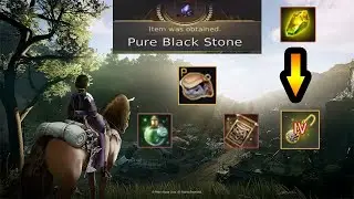 BDO EU Fresh Start & 295 AP Kutum  & Cup & Week 5
