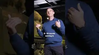 How Shermans could BEAT Tiger Tanks
