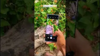 #ytshortsindia #mobilephotography #motorola #motorolaedge50pro #youtubeshorts