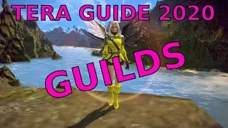 TERA: Guilds (Guide for New and Returning Players Part 8)