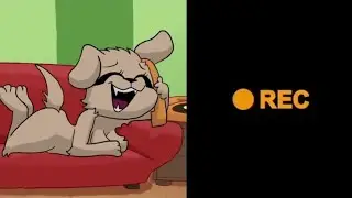 Белла оценивает сайты
