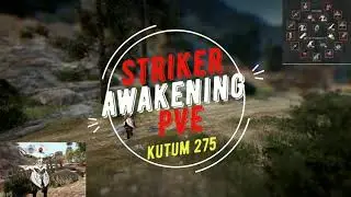 Black Desert | O'dyllita - Striker Awakening | ОДИЛЛИТА BDO колючий лес