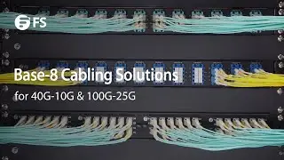 Base-8 Solutions for 40G-10G & 100G-25G Cabling | FS