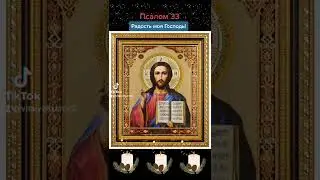 Господь благодарю тебя за прожитый каждый день.