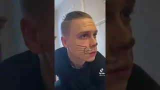 Коты угорают
