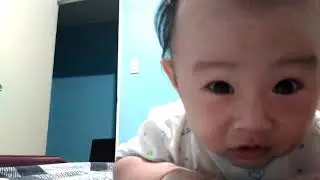 Baby Lemon