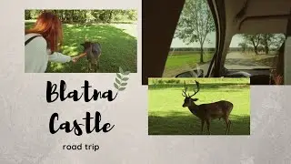 Road trip to Blatna Castle // deer // Czech nature