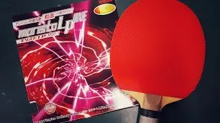 [TT] Nittaku Moristo LP One - Spannt die Noppen!