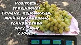Розіграш завершено! Вітаємо, переможця, який максимально точно назвав вагу грони