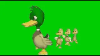 Duck walking green screen animation| editor g