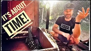 Quality Time with the Monitor Lizards!