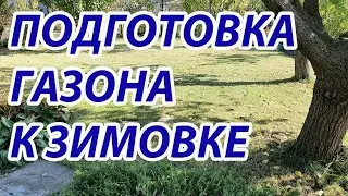 Готовим газон к зимовке. Какие работы  сделать для того, чтобы газон успешно перезимовал.