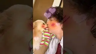 Mi PERRITO me AMA 🥰🐶