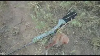 Caçada de perdiz com cachorro.