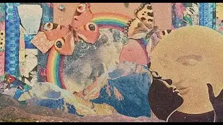 sunflower tape machine - sophomore sweetheart