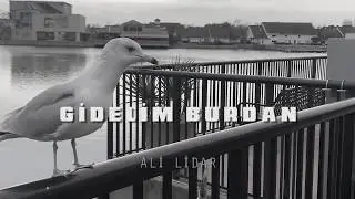 Gidelim Buradan - Ali Lidar