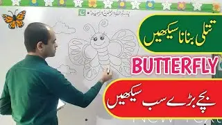 Butterfly Drawing ✏️🦋 | Learn to draw a cute butterfly with step-by-step tutorial | GPSNewBukenwal