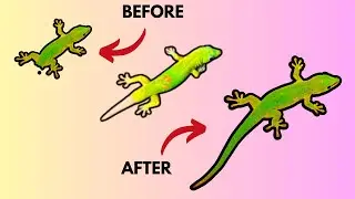 animals that can regenerate body part