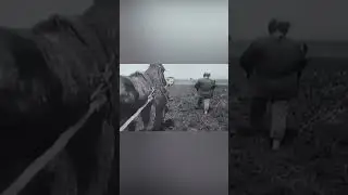 Отсталая Российская империя  #история #новости