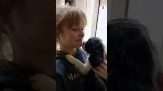 Мне купили собаку