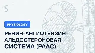 USMLE Step 1 - Ренин-ангиотензин-альдостероновая система (РААС)