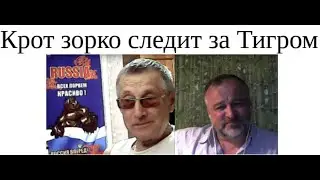 Песчаный крот зорко следит за Тигром 2024 06 06 